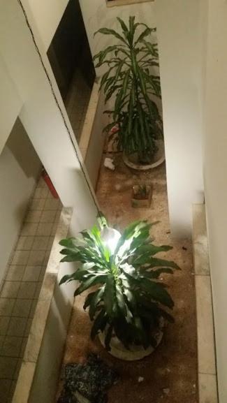 New Byblos Hotel Brasília Zewnętrze zdjęcie